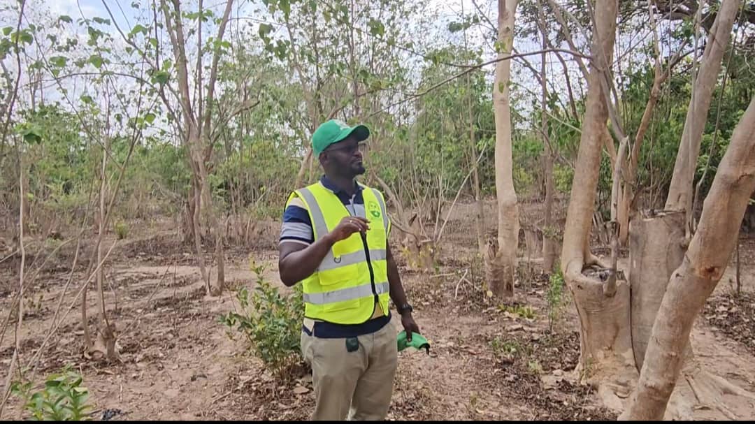Private Forest Expansion and Climate Resilience Initiative