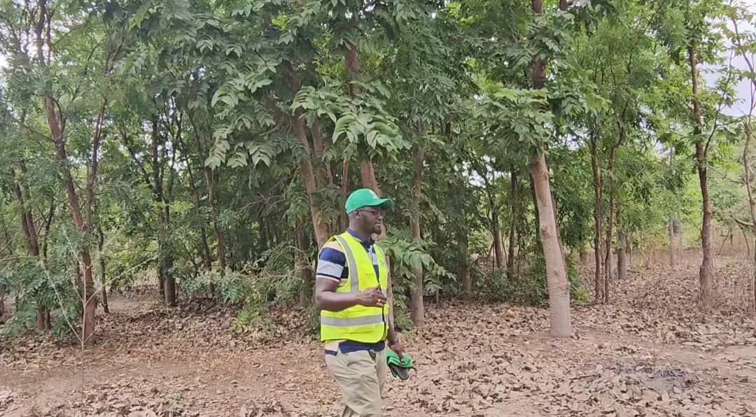 Monitoring tree health in the private forest