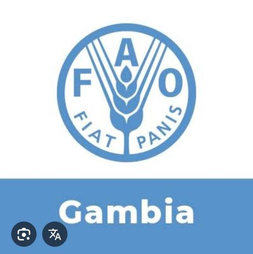 FAO Gambia